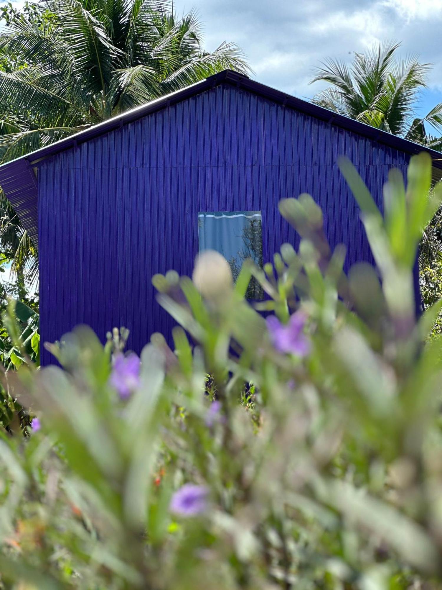 Hide Away Bungalows In Ben Tre City エクステリア 写真