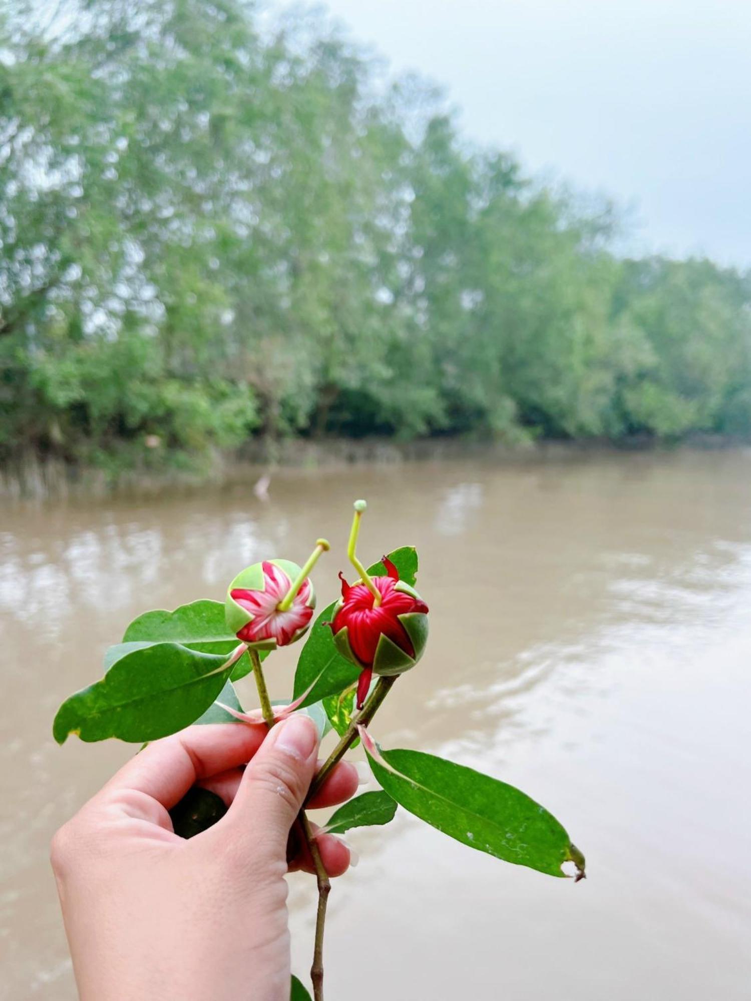Hide Away Bungalows In Ben Tre City エクステリア 写真